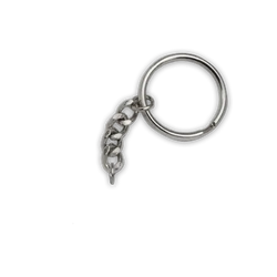 Silver Split Ring + Short Chain