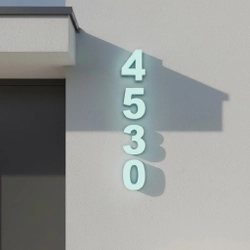 Face Lit House Number
