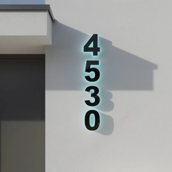 Back Lit House Number