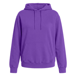 Vintage Team Purple