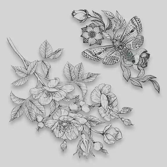 Detailed pen sketch of flowers and butterfly illustration