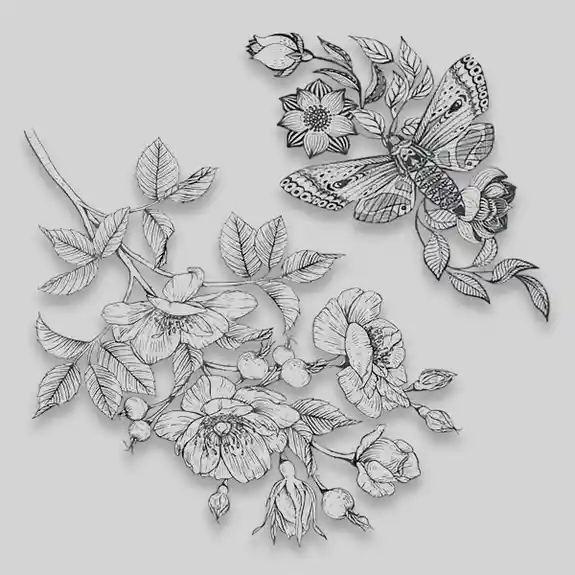 Detailed pen sketch of flowers and butterfly illustration