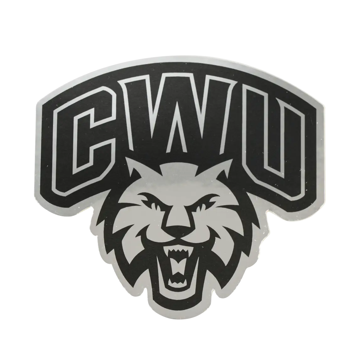 Metallic Paper Stickers