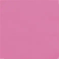 Neon Pink Lunch...