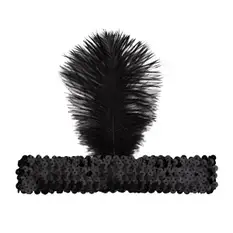 Black Feather H...