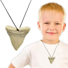 Shark Tooth Lan...