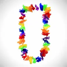 Rainbow Silk Fl...