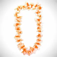 Orange Silk Flo...