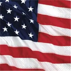 American Flag L...