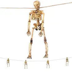 Skeleton Garlan...