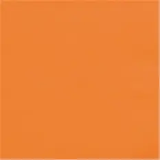 Orange Luncheon...
