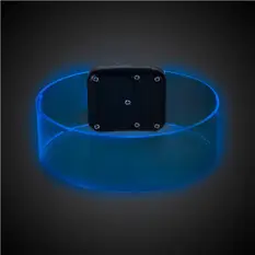 Blue LED Magnet...