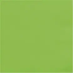 Neon Green Beve...