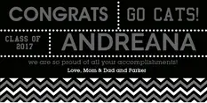 Gray Chevron Gr...