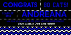 Blue Chevron Gr...