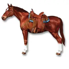 Saddled Horse J...