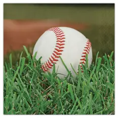 Baseball Lunch ...