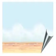 Desert Sky Room...