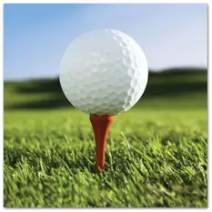 Golf Ball Lunch...