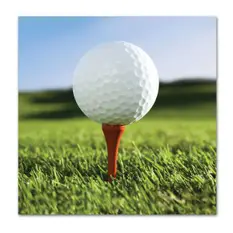 Golf Ball Bever...