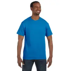 Hanes Authentic...