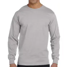 Hanes Heavyweig...