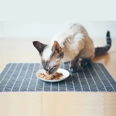 Pet Food Mat