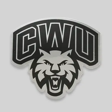 Custom Metallic Paper Stickers