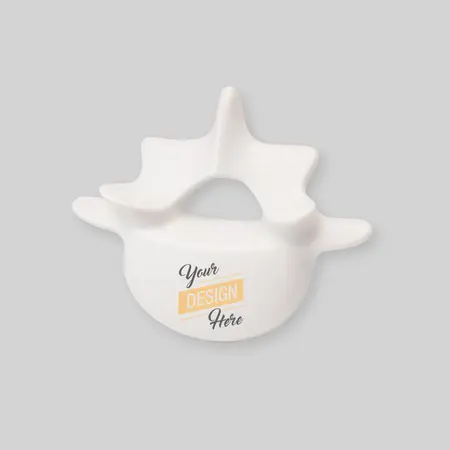Vertebrae Stress Ball