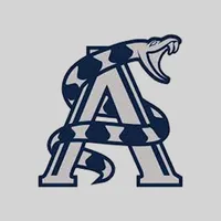 New Custom Temporary Tattoos - All Sizes    