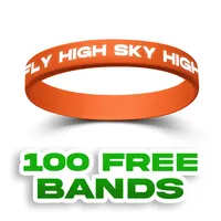 Colorfilled Silicone Wristband Bracelet              