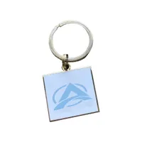 Custom Hard Enamel Metal Keychain