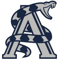 New Custom Temporary Tattoos - All Sizes    