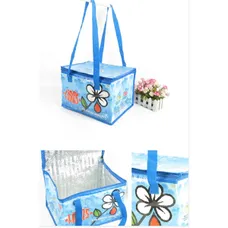 Cooler Tote Bag