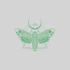 Glow in Dark Tattoos - Temporary Tattoos - 2" x 2"