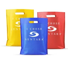 Non-Woven Flat Bag 