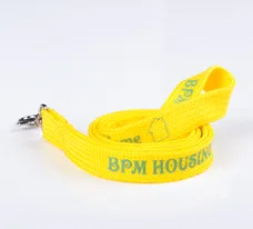 Custom Tube Lanyard Keychain