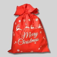 Christmas Drawstring Gift Bag - BG