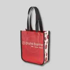 The Mini Curve Laminate Bag