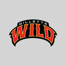 New Custom Temporary Tattoos - All Sizes  