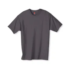Hanes Youth 6 oz. Tagless T-Shirt - Dark/Colors