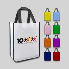 Samll Tote Shopping Bag 