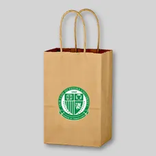 Budget Kraft Paper Brown Shopping Bags-5-1/4"-x-8-1/4 - BG