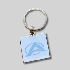 Custom Hard Enamel Metal Keychain