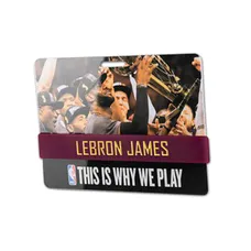 Wristband With PVC Card - Glossy 