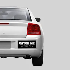 Bumper Stickers - 3x7