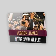 Wristband With PVC Card - Glossy 