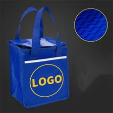 Non-Woven Insulated Lunch Bag Cooler with Zipper
