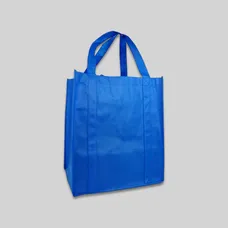 Budget Medium Grocery Totebag