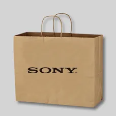 Budget Custom Kraft Paper Brown Shopping Bag-16"-BG